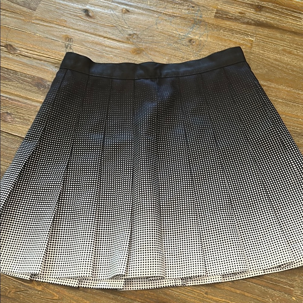 American Apparel Pleated Skirt
